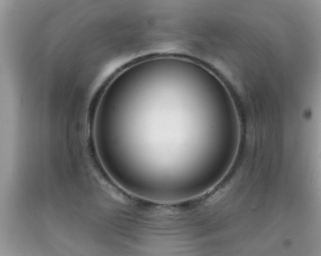 X0000092041270200709191053