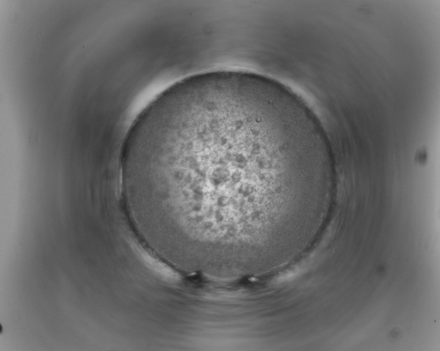 X0000092041271200709191053