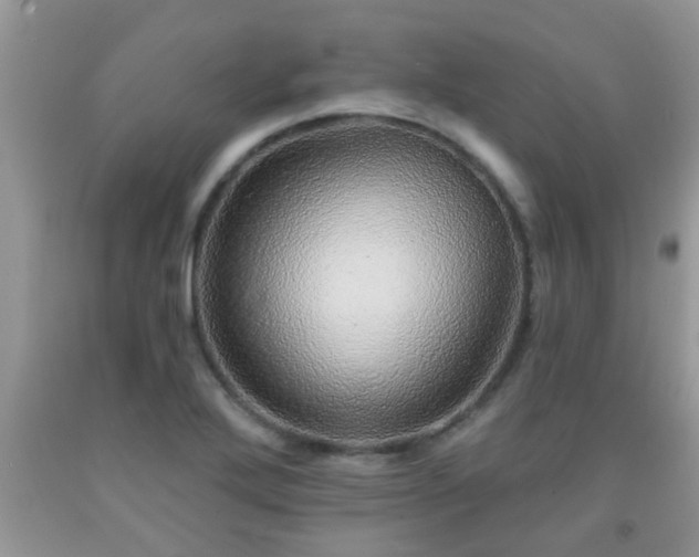 X0000092041272200709191053