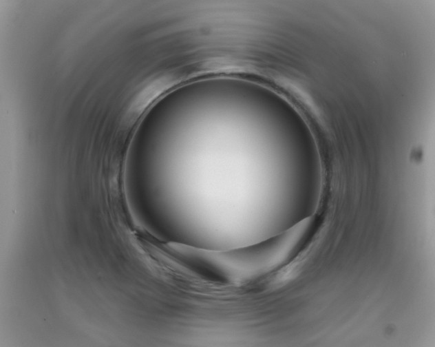 X0000092041273200709191053