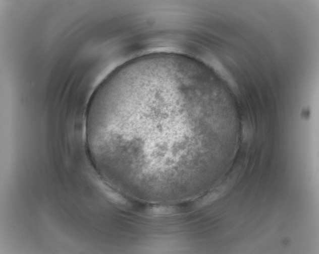 X0000092041274200709191053