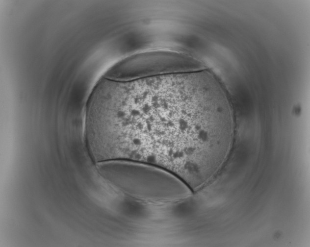 X0000092041275200709191053