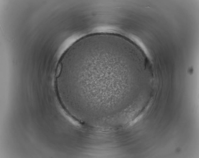 X0000092041277200709191053