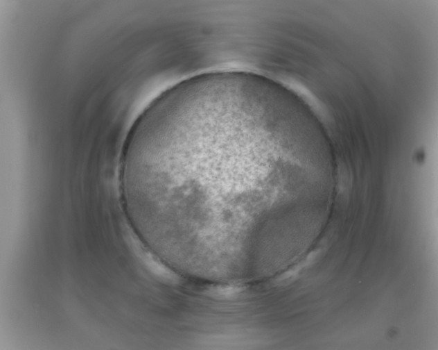 X0000092041278200709191053