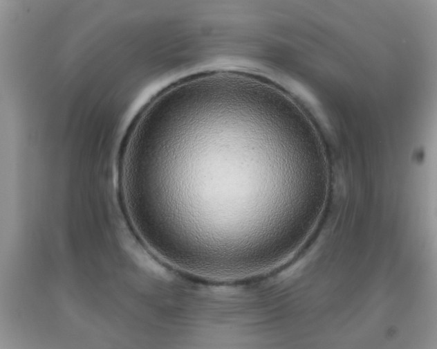 X0000092041280200709191053