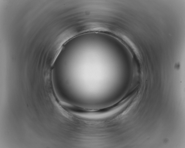 X0000092041281200709191053