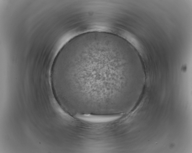 X0000092041283200709191053