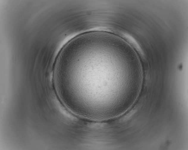 X0000092041284200709191053