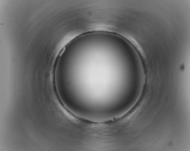 X0000092041285200709191053