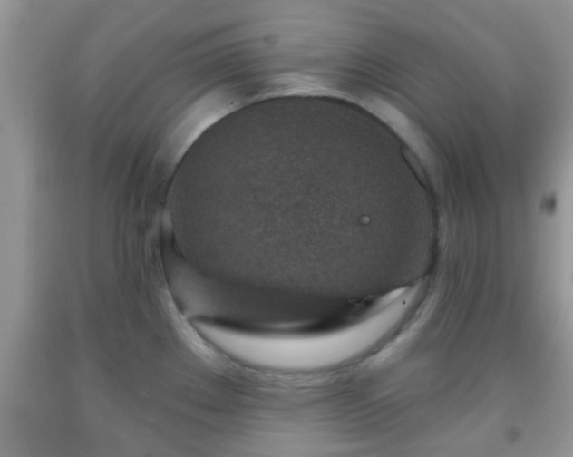 X0000092041289200709191053