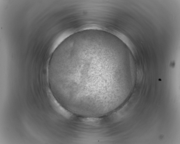 X0000092041290200709191053