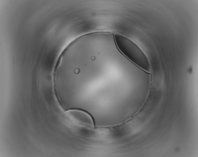 X0000092041291200709191053