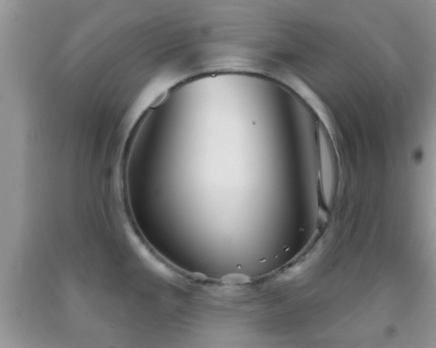 X0000092041293200709191052