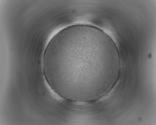 X0000092041295200709191052