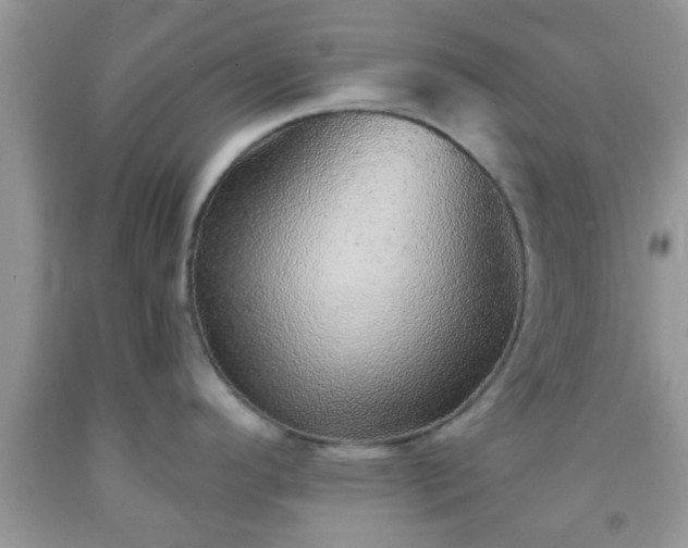 X0000092041296200709191052