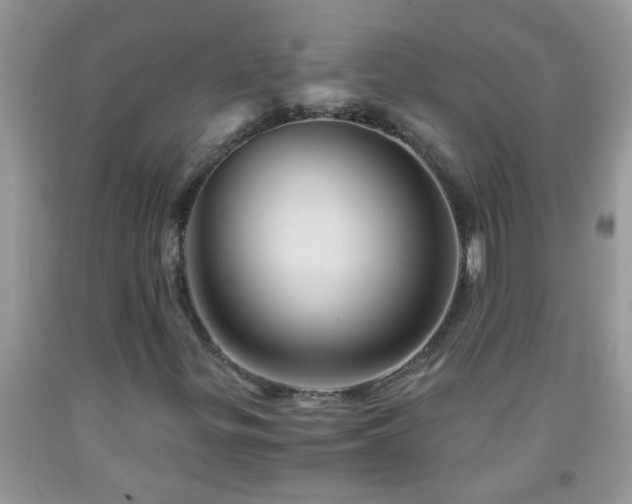 X0000092041299200709191052