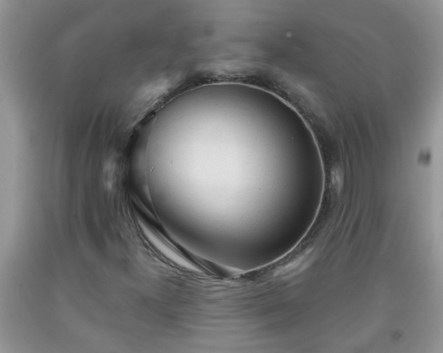 X0000092041300200709191052