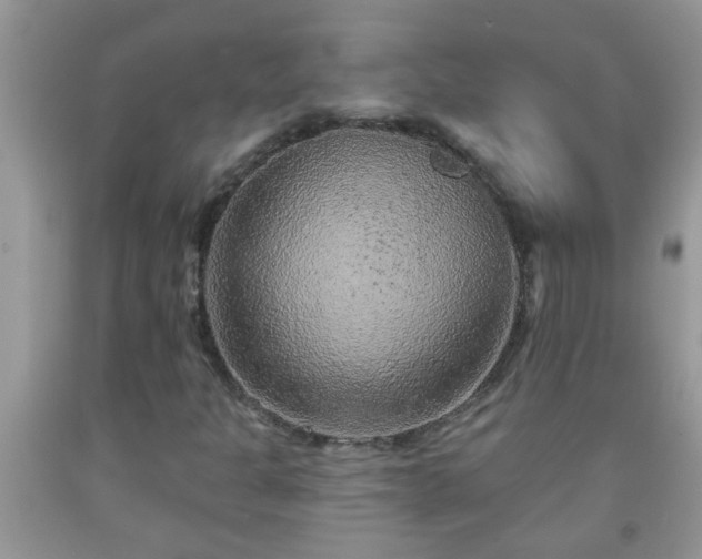 X0000092041301200709191052