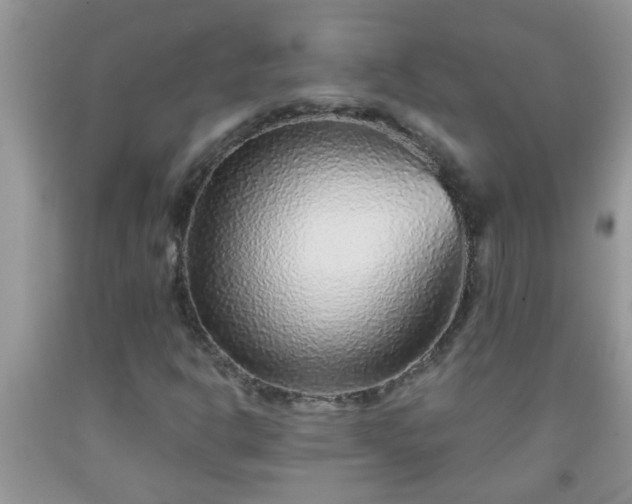 X0000092041302200709191052