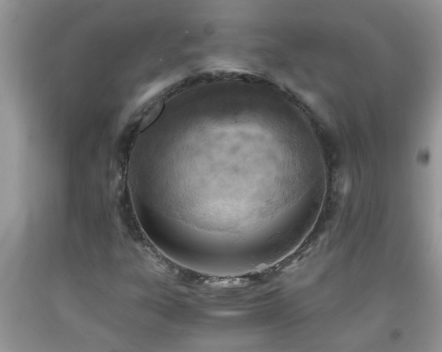 X0000092041303200709191052