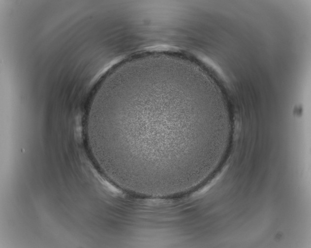 X0000092041305200709191052