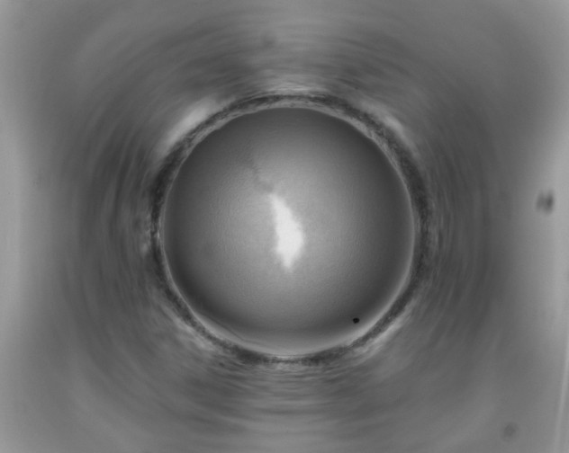 X0000092041306200709191052