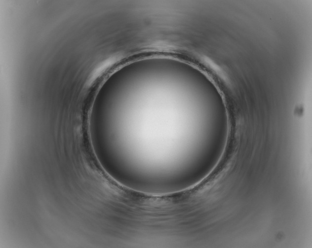 X0000092041307200709191052