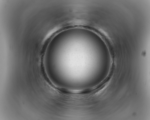 X0000092041309200709191052