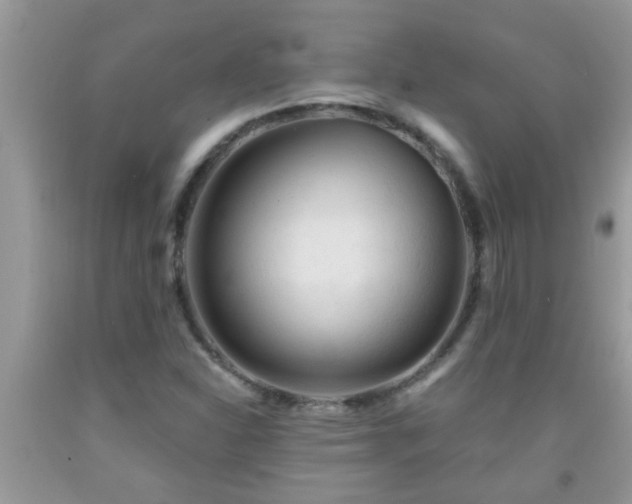 X0000092041310200709191052