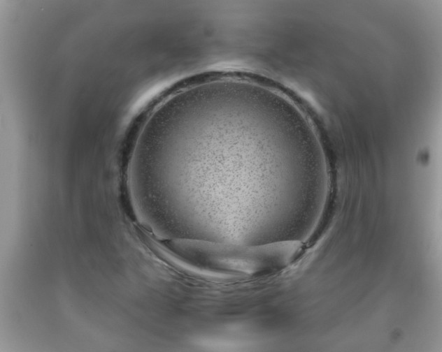 X0000092041311200709191052