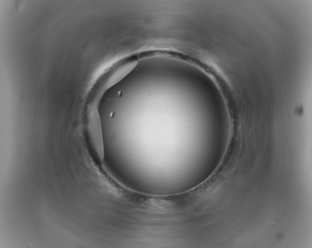 X0000092041312200709191052