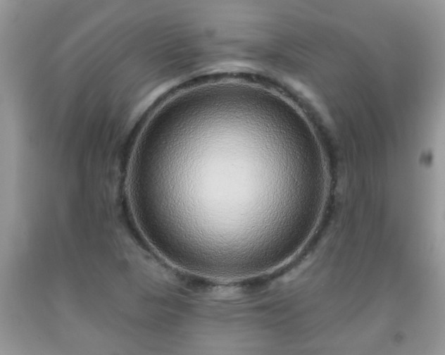 X0000092041313200709191052