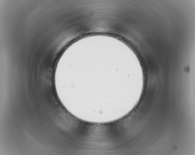 X0000092041314200709191052