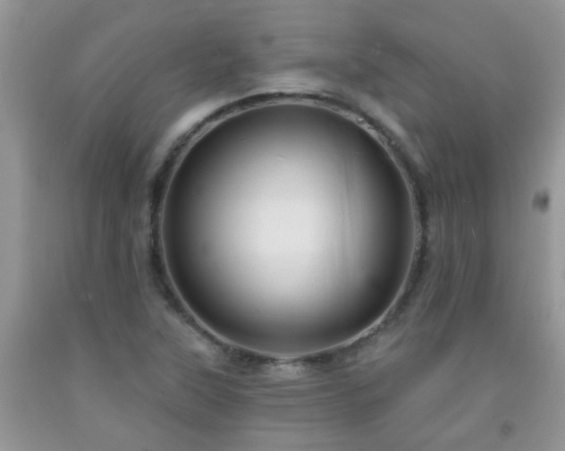 X0000092041315200709191052