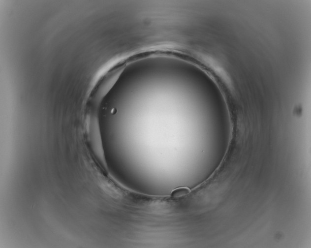 X0000092041316200709191052