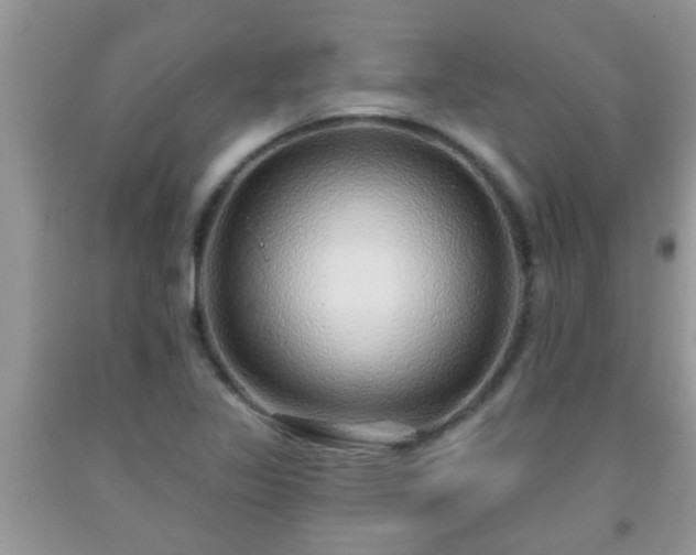 X0000092041317200709191052