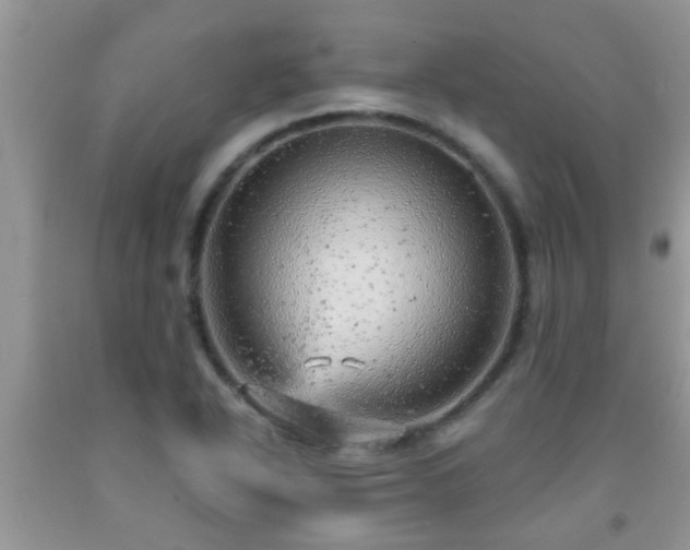 X0000092041318200709191052