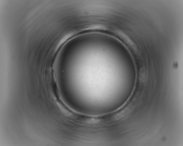 X0000092041321200709191052