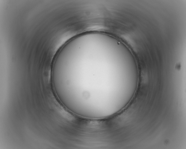 X0000092041322200709191052