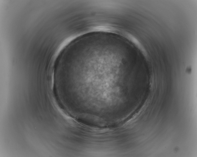 X0000092041323200709191052