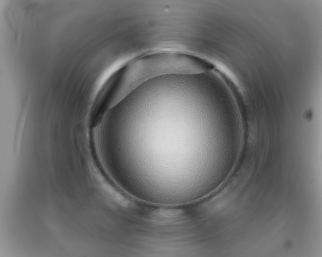 X0000092041325200709191052