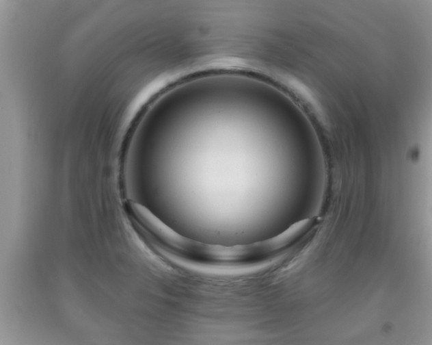 X0000092041326200709191052