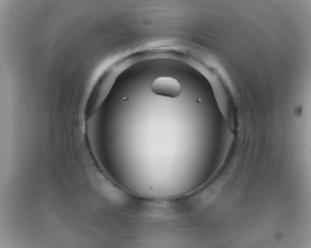 X0000092041328200709191052