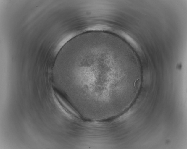 X0000092041329200709191052