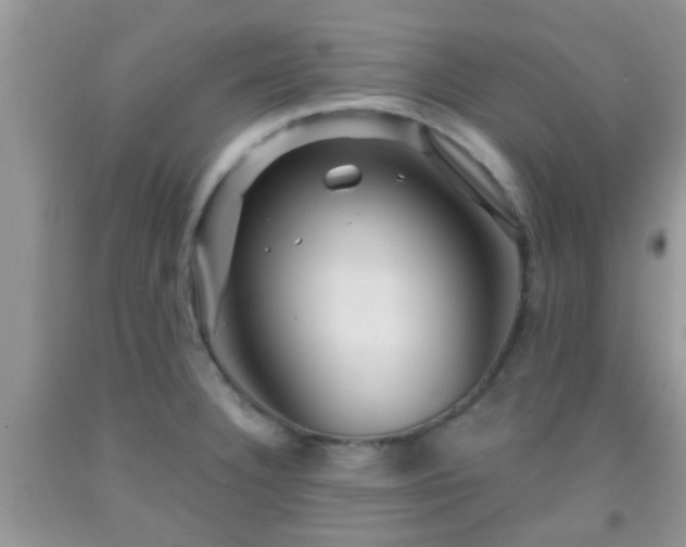 X0000092041332200709191052