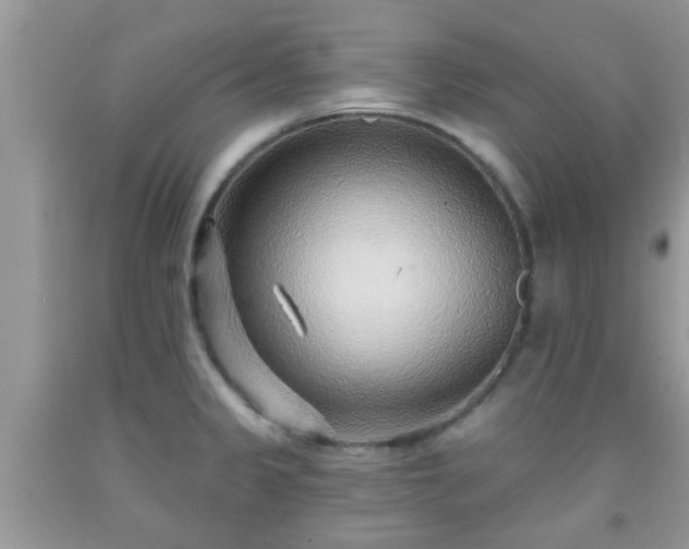 X0000092041333200709191052