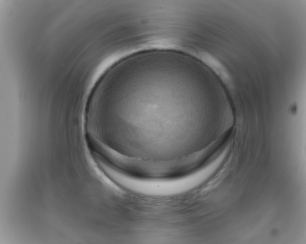 X0000092041334200709191052