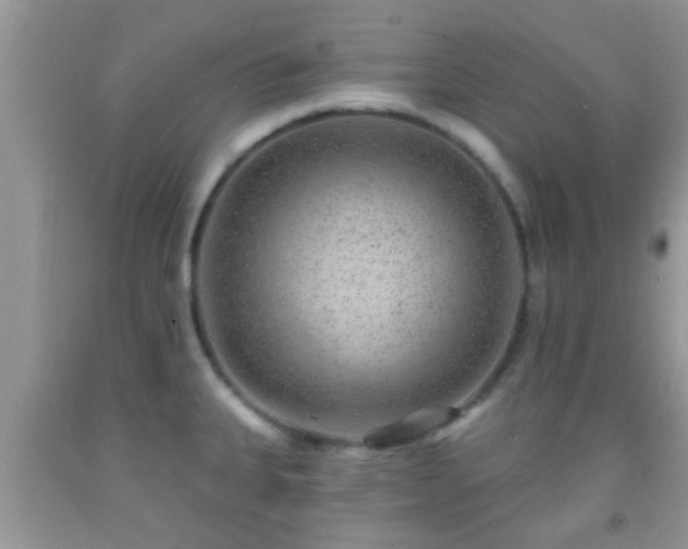 X0000092041335200709191052