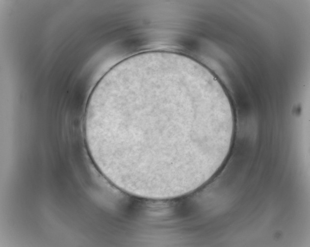 X0000092041338200709191052