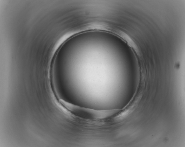 X0000092041339200709191052